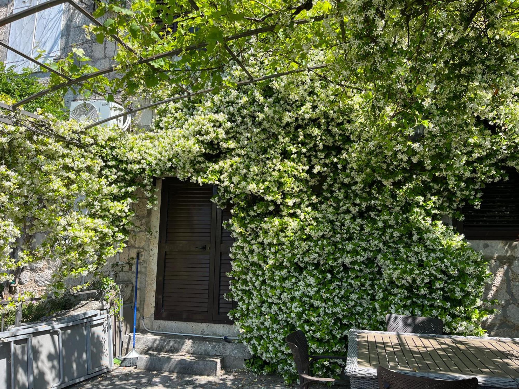 Apartmán Be Happy In Perast Exteriér fotografie